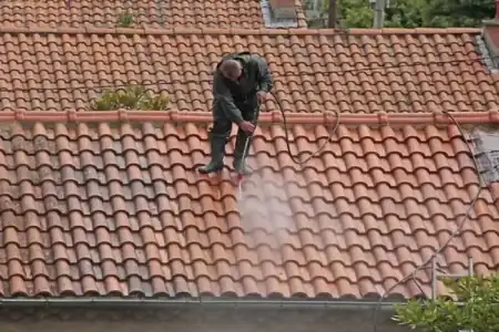 Nettoyage et démoussage de toiture en Loire-Atlantique en Loire-Atlantique